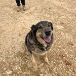 Belinda_IMG_6506
