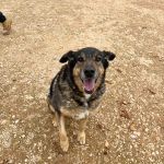 Belinda_IMG_6512