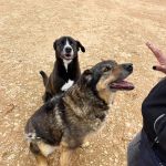 Belinda_IMG_6515