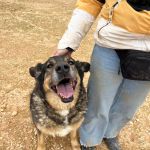 Belinda_IMG_6535