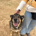 Belinda_IMG_6536