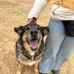 Belinda_IMG_6537