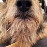 Bizar_motion_photo_2552276029452077279