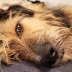 Bizar_motion_photo_2667651198248539940