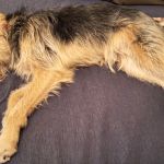 Bizar_motion_photo_6699203517809002084