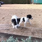 Bob_Gus_img-20251108-wa0126