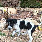 Bob_img-20251108-wa0063