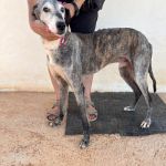 Bruno_IMG_0243