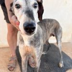 Bruno_IMG_0244
