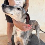 Bruno_IMG_0245