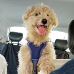 Bulto_IMG-20251023-WA0059