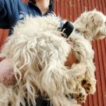 Bulto_IMG-20251023-WA0060