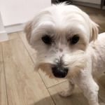 Bulto_IMG-20251120-WA0105