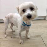 Bulto_IMG-20251120-WA0111