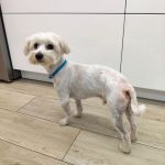 Bulto_IMG-20251120-WA0112