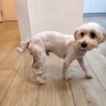 Bulto_IMG-20251120-WA0117