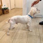 Bulto_IMG-20251120-WA0118