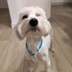 Bulto_IMG-20251120-WA0119