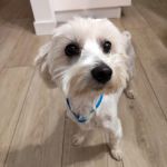 Bulto_IMG-20251120-WA0120