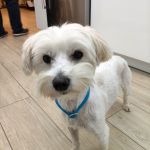 Bulto_IMG-20251120-WA0124