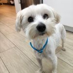 Bulto_IMG-20251120-WA0126