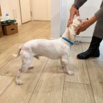 Bulto_IMG-20251120-WA0127