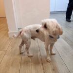 Bulto_IMG-20251120-WA0128