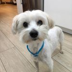 Bulto_IMG-20251120-WA0129