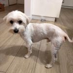 Bulto_IMG-20251120-WA0130