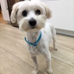 Bulto_IMG-20251120-WA0136