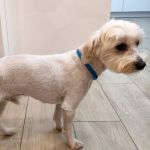 Bulto_IMG-20251120-WA0137