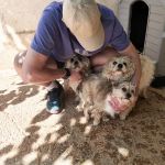 Butch_Polly_Sunny_IMG-20260501-WA0498