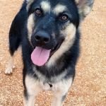 Canijo_IMG_20251115_121144