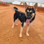 Canijo_IMG_20251115_121248