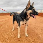 Canijo_IMG_20251115_121254_1