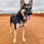 Canijo_IMG_20251115_121257