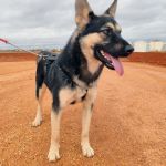 Canijo_IMG_20251115_121258