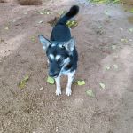 Canijo_IMG_20251116_105358