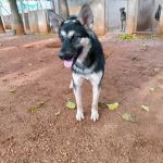 Canijo_IMG_20251116_105359