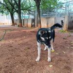 Canijo_IMG_20251116_105403