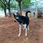 Canijo_IMG_20251116_105405