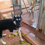 Canijo_IMG_20251116_105515