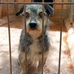 Cano_IMG-20260425-WA0039