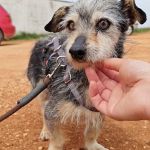 Cano_IMG_20260425_1233010