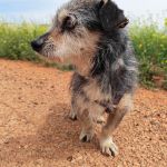 Cano_IMG_20260425_123351