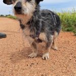 Cano_IMG_20260425_123403