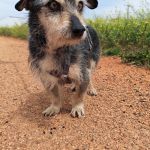 Cano_IMG_20260425_123406_1