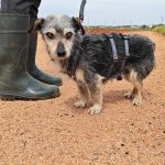 Cano_IMG_20260425_123416