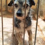 Cano_IMG_20260425_131150