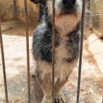 Cano_IMG_20260425_131154